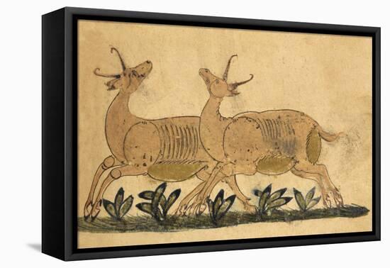 Two Gazelles-Aristotle ibn Bakhtishu-Framed Premier Image Canvas