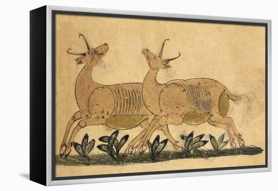 Two Gazelles-Aristotle ibn Bakhtishu-Framed Premier Image Canvas