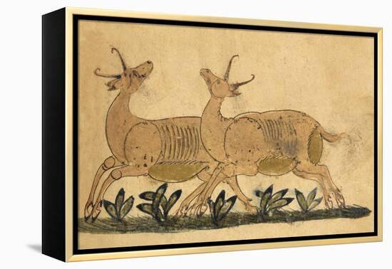 Two Gazelles-Aristotle ibn Bakhtishu-Framed Premier Image Canvas