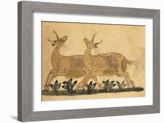 Two Gazelles-Aristotle ibn Bakhtishu-Framed Giclee Print