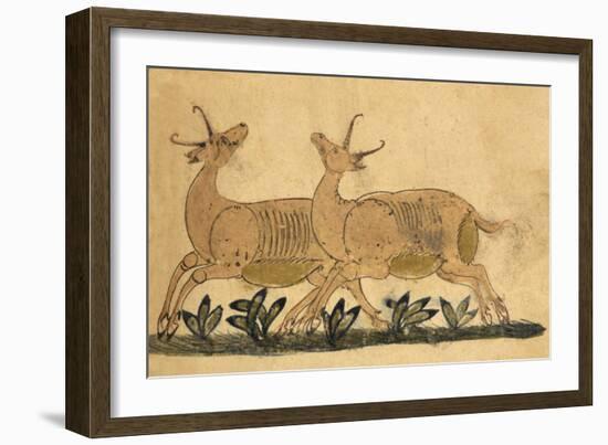 Two Gazelles-Aristotle ibn Bakhtishu-Framed Giclee Print