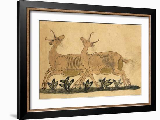 Two Gazelles-Aristotle ibn Bakhtishu-Framed Giclee Print