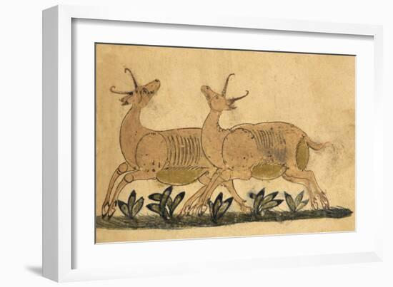 Two Gazelles-Aristotle ibn Bakhtishu-Framed Giclee Print