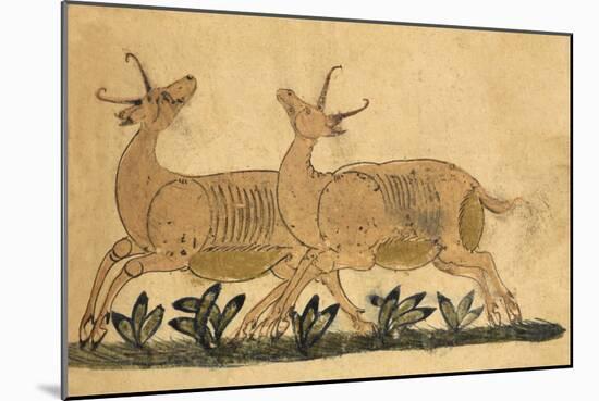 Two Gazelles-Aristotle ibn Bakhtishu-Mounted Giclee Print