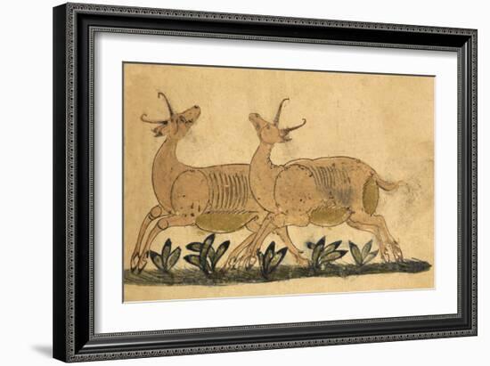 Two Gazelles-Aristotle ibn Bakhtishu-Framed Giclee Print