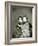 Two Geisha Girls, C.1880-null-Framed Photographic Print