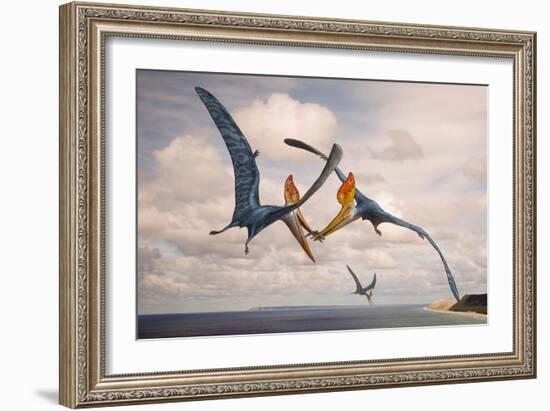 Two Geosternbergia Pterosaurs Fighting over Small Fish-null-Framed Art Print