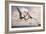 Two Geosternbergia Pterosaurs Fighting over Small Fish-null-Framed Art Print