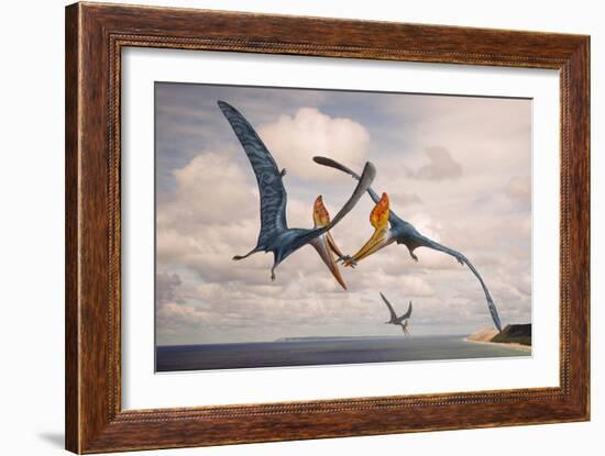 Two Geosternbergia Pterosaurs Fighting over Small Fish-null-Framed Art Print