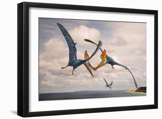 Two Geosternbergia Pterosaurs Fighting over Small Fish-null-Framed Art Print