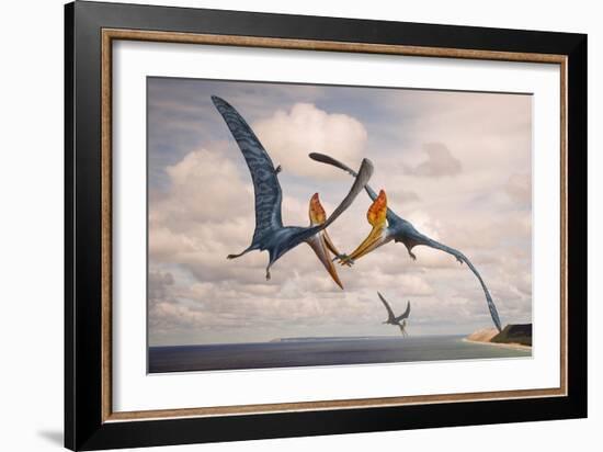 Two Geosternbergia Pterosaurs Fighting over Small Fish-null-Framed Art Print