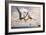 Two Geosternbergia Pterosaurs Fighting over Small Fish-null-Framed Art Print