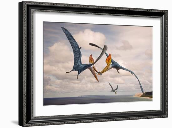 Two Geosternbergia Pterosaurs Fighting over Small Fish-null-Framed Art Print