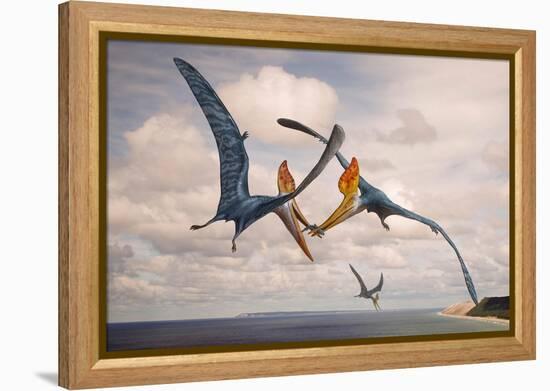 Two Geosternbergia Pterosaurs Fighting over Small Fish-null-Framed Stretched Canvas
