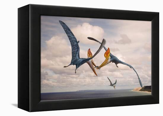 Two Geosternbergia Pterosaurs Fighting over Small Fish-null-Framed Stretched Canvas