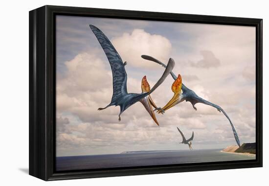 Two Geosternbergia Pterosaurs Fighting over Small Fish-null-Framed Stretched Canvas