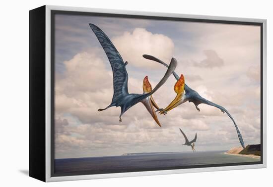 Two Geosternbergia Pterosaurs Fighting over Small Fish-null-Framed Stretched Canvas