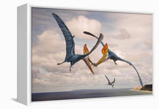 Two Geosternbergia Pterosaurs Fighting over Small Fish-null-Framed Stretched Canvas