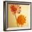 Two Gerbera Daisies-null-Framed Photographic Print