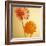 Two Gerbera Daisies-null-Framed Photographic Print