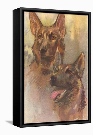 Two German Shepherds-null-Framed Stretched Canvas