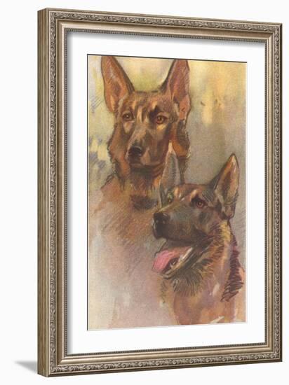 Two German Shepherds-null-Framed Art Print