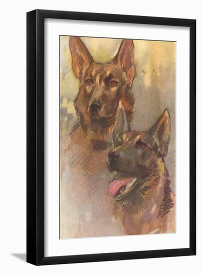 Two German Shepherds-null-Framed Art Print