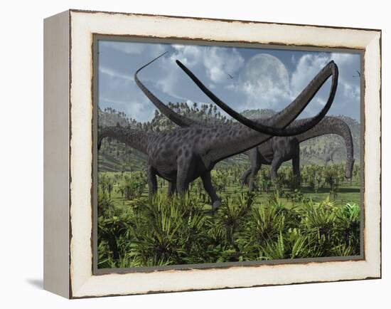 Two Giant Diplodocus Herbivore Dinosaurs Grazing During the Jurassic Period on Earth-Stocktrek Images-Framed Premier Image Canvas