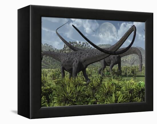 Two Giant Diplodocus Herbivore Dinosaurs Grazing During the Jurassic Period on Earth-Stocktrek Images-Framed Premier Image Canvas