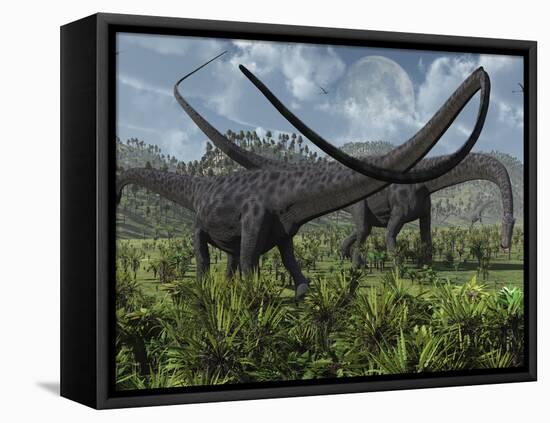 Two Giant Diplodocus Herbivore Dinosaurs Grazing During the Jurassic Period on Earth-Stocktrek Images-Framed Premier Image Canvas