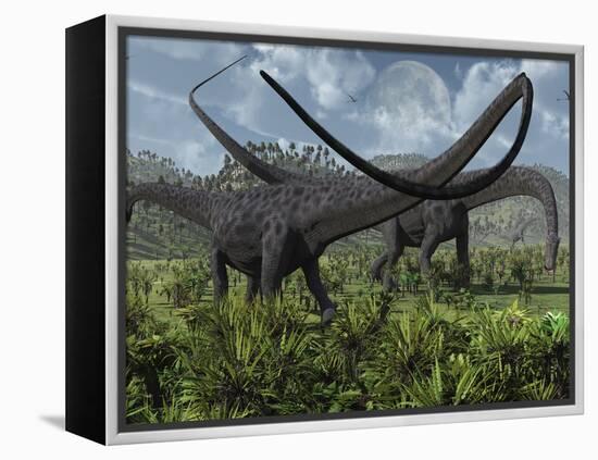 Two Giant Diplodocus Herbivore Dinosaurs Grazing During the Jurassic Period on Earth-Stocktrek Images-Framed Premier Image Canvas