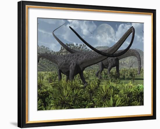 Two Giant Diplodocus Herbivore Dinosaurs Grazing During the Jurassic Period on Earth-Stocktrek Images-Framed Photographic Print