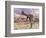 Two Gigantoraptor Dinosaurs Walking in the Desert-null-Framed Premium Giclee Print