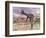 Two Gigantoraptor Dinosaurs Walking in the Desert-null-Framed Premium Giclee Print