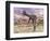 Two Gigantoraptor Dinosaurs Walking in the Desert-null-Framed Premium Giclee Print