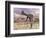 Two Gigantoraptor Dinosaurs Walking in the Desert-null-Framed Premium Giclee Print