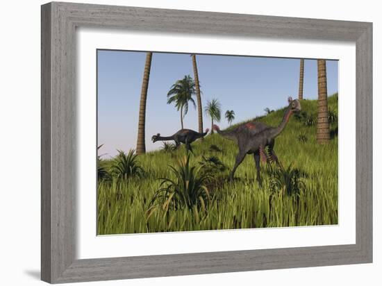 Two Gigantoraptors in a Grassy Field-null-Framed Art Print