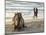 Two Girls on Beach at Dusk, Camel Waiting, Ganpatipule, Karnataka, India, Asia-Annie Owen-Mounted Photographic Print