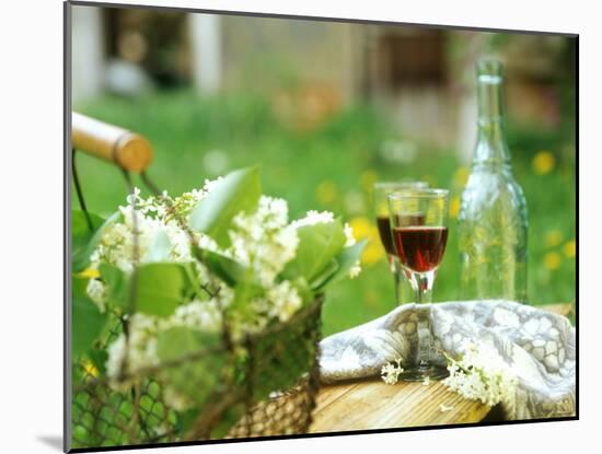 Two Glasses of Red Wine in Springtime Garden-Christine Gillé-Mounted Photographic Print