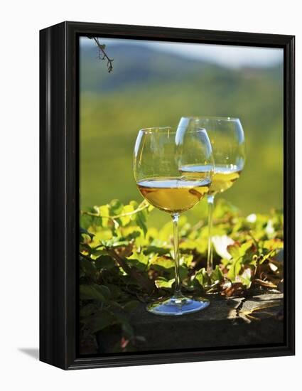 Two Glasses of White Wine Against the Friaul Landscape of Italy-Herbert Lehmann-Framed Premier Image Canvas