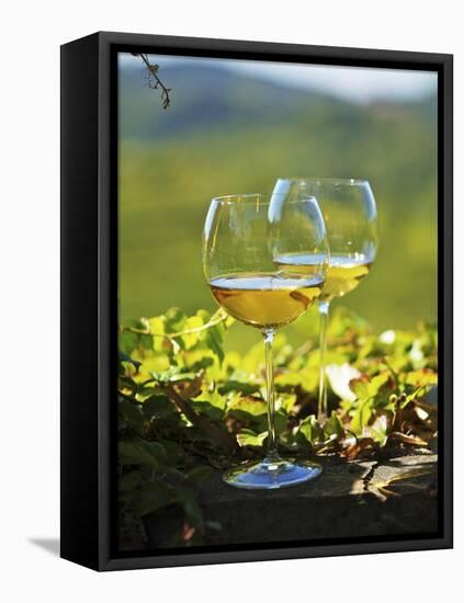 Two Glasses of White Wine Against the Friaul Landscape of Italy-Herbert Lehmann-Framed Premier Image Canvas