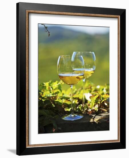 Two Glasses of White Wine Against the Friaul Landscape of Italy-Herbert Lehmann-Framed Photographic Print