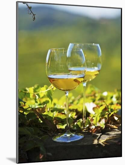 Two Glasses of White Wine Against the Friaul Landscape of Italy-Herbert Lehmann-Mounted Photographic Print