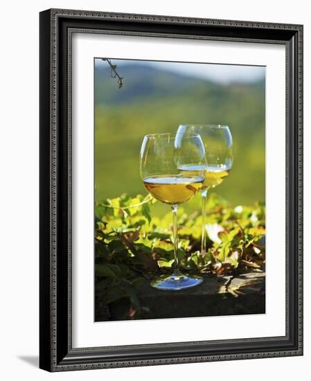 Two Glasses of White Wine Against the Friaul Landscape of Italy-Herbert Lehmann-Framed Photographic Print