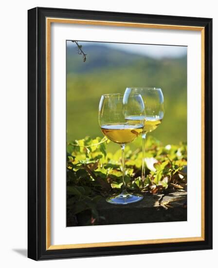 Two Glasses of White Wine Against the Friaul Landscape of Italy-Herbert Lehmann-Framed Photographic Print