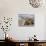 Two Golden Retrievers Sitting Together on a Beach in California, USA-Zandria Muench Beraldo-Photographic Print displayed on a wall