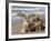 Two Golden Retrievers Sitting Together on a Beach in California, USA-Zandria Muench Beraldo-Framed Photographic Print