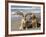 Two Golden Retrievers Sitting Together on a Beach in California, USA-Zandria Muench Beraldo-Framed Photographic Print