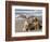 Two Golden Retrievers Sitting Together on a Beach in California, USA-Zandria Muench Beraldo-Framed Photographic Print