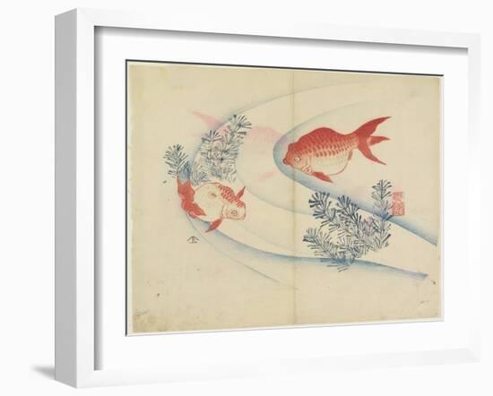 Two Goldfish in Water, C. 1830-Hogyoku-Framed Giclee Print